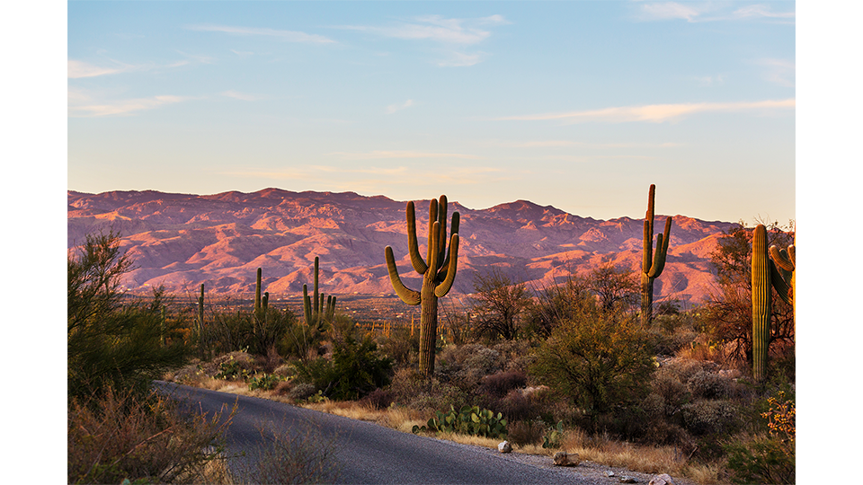 Make a Stop in Charming Bisbee, Arizona